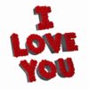 imgi_14_ILoveYou2_1 TE AMO