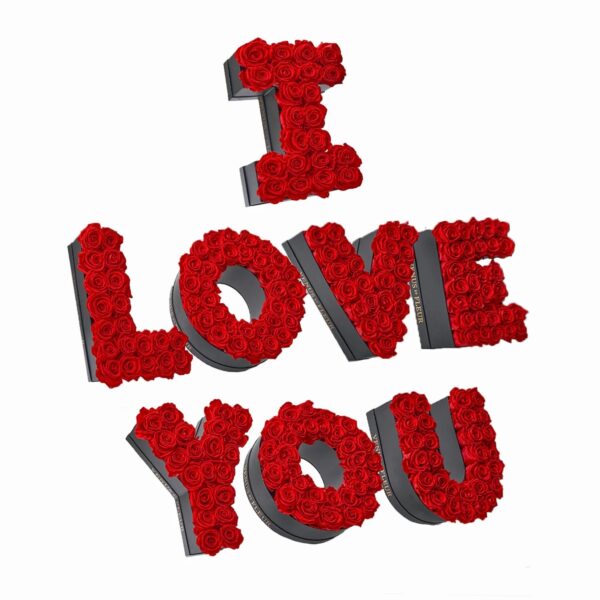 imgi_14_ILoveYou2_1 TE AMO