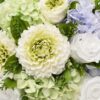 imgi_239_THALIA_WickerMDay26_MixedFlorals_002 Pureza