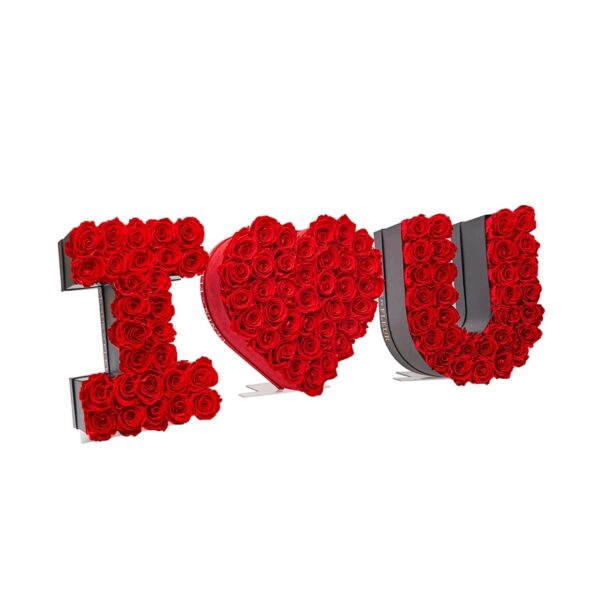 imgi_247_IheartU_grand2_red AMOR MÍO