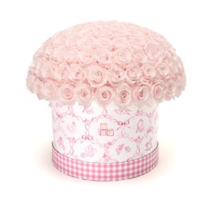 imgi_256_LePlein_BabyPrintPinkLarge_Blush_001 Nacimiento