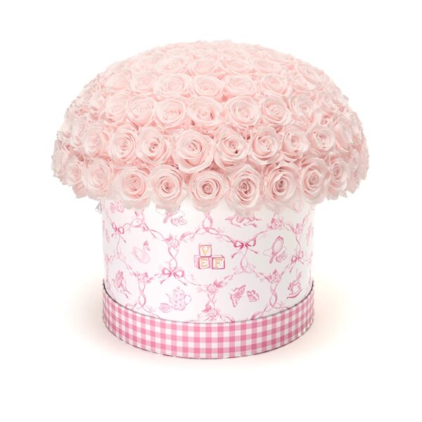 imgi_256_LePlein_BabyPrintPinkLarge_Blush_001 Nacimiento