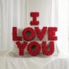 imgi_26_ILoveYou_lifestyle1 TE AMO