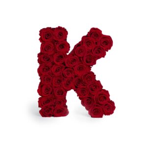 imgi_286_Le_Grand_Letter_K_Red_Front Colección Iniciales