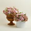 imgi_83_VEF-MOTHERS-DAY-LIFESTYLE-26_1500x1500_841e1cce-e75e-4bdd-959e-92f2421dcbec Patrimonio