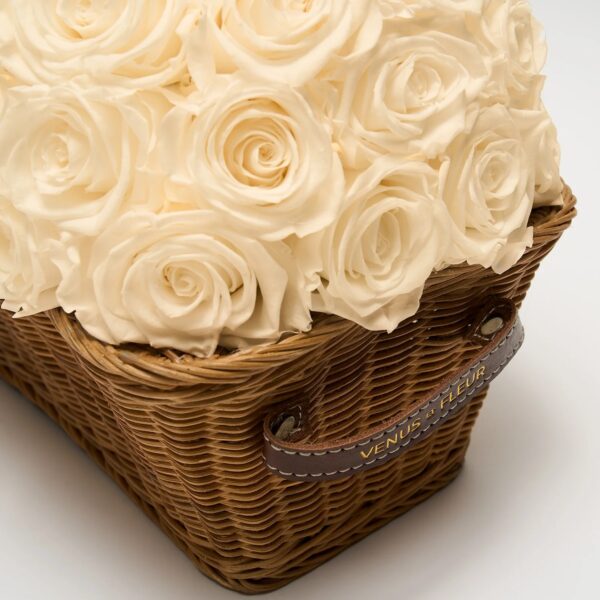 imgi_87_SERENE_Roses_Pearl_003 Discreta