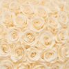 imgi_89_LePlein_BabyPrintPinkLarge_Pearl_691 Nacimiento